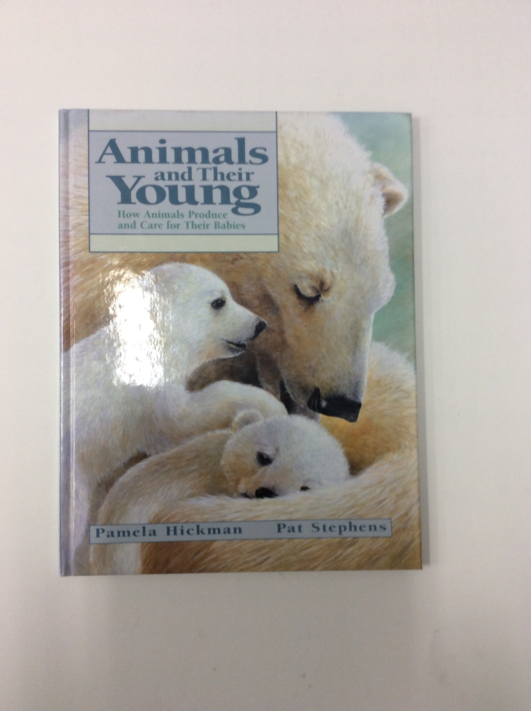 Animals and their young book